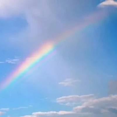 双赢彩票官方网站手机app下载